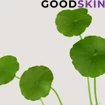 Centella Asiatica Szérum