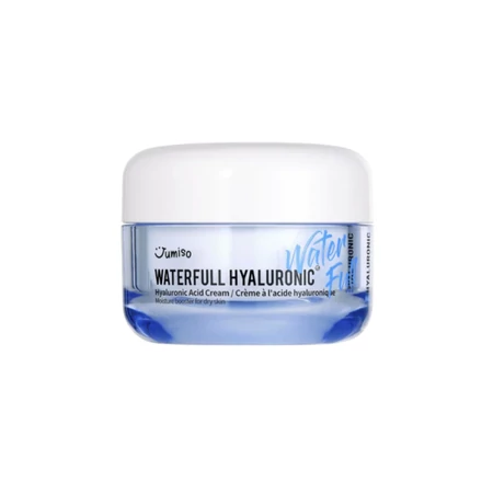 Waterfull Hyaluronic Acid Arckrém